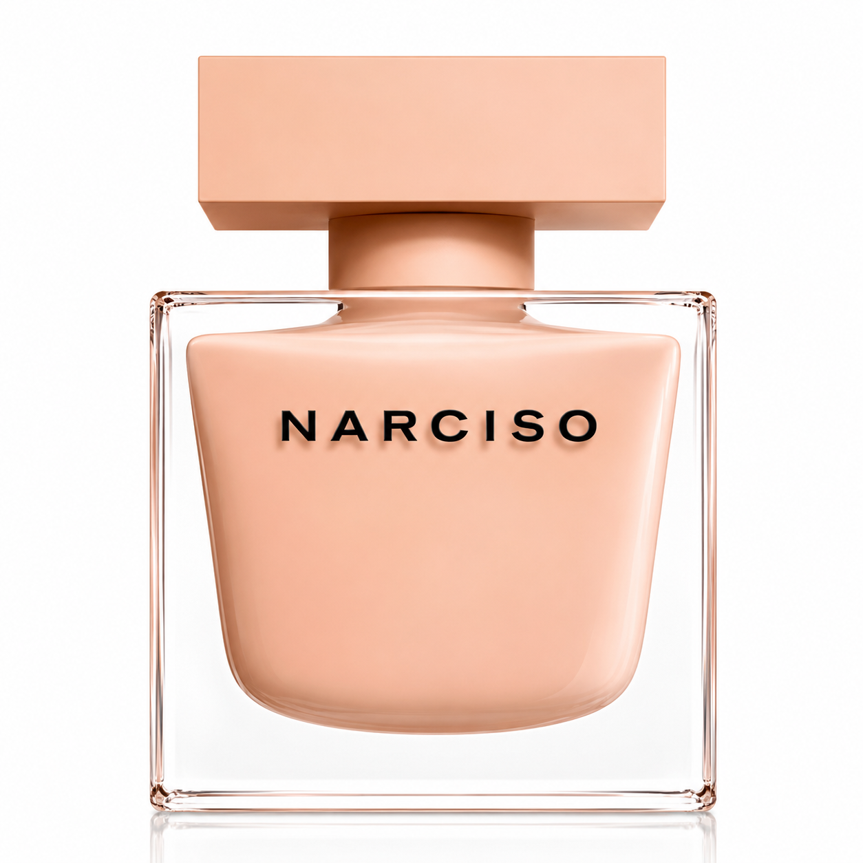 Narciso Rodriguez Poudree